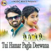 Tui Hamar Pagla Deewana